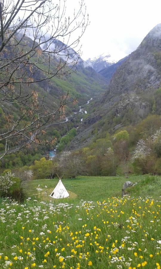Tipis Nature غافارني المظهر الخارجي الصورة