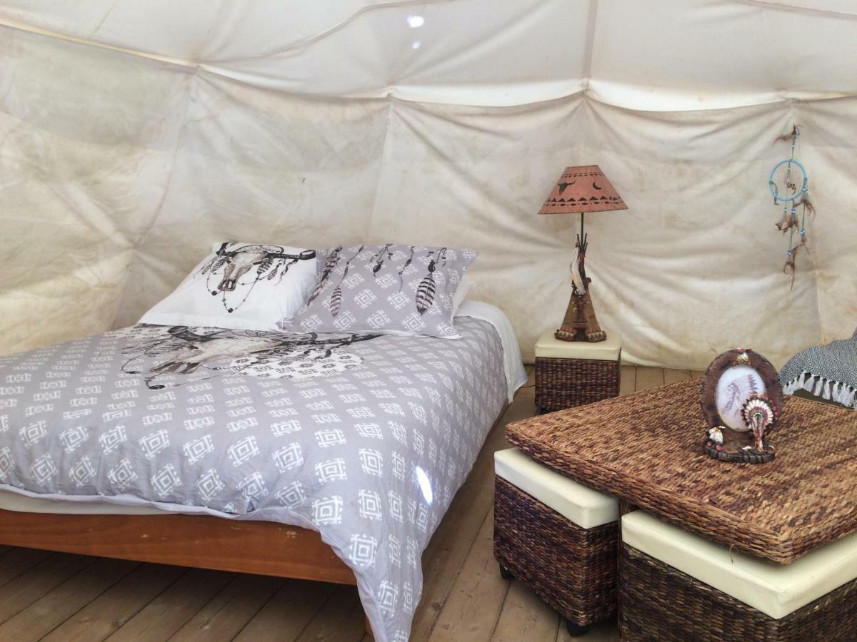 Tipis Nature غافارني المظهر الخارجي الصورة